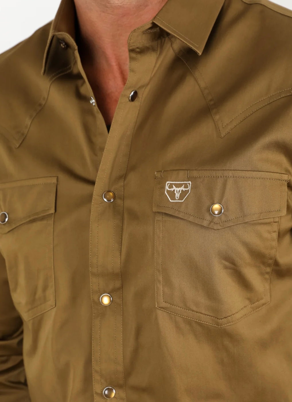 Light Brown Modern Fit Dress Shirt