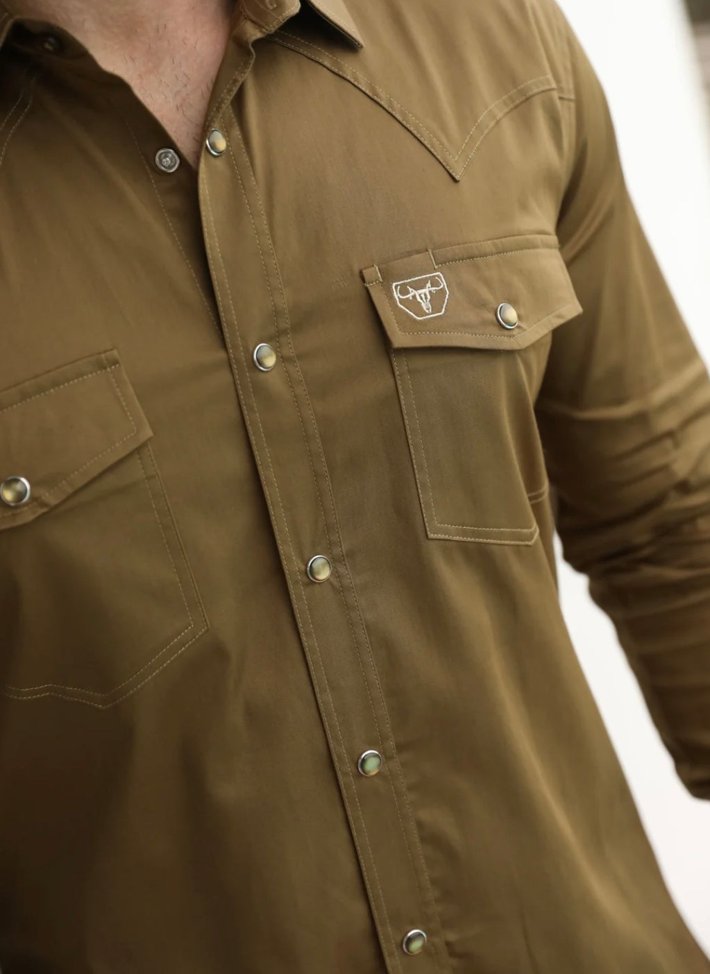 Light Brown Modern Fit Dress Shirt