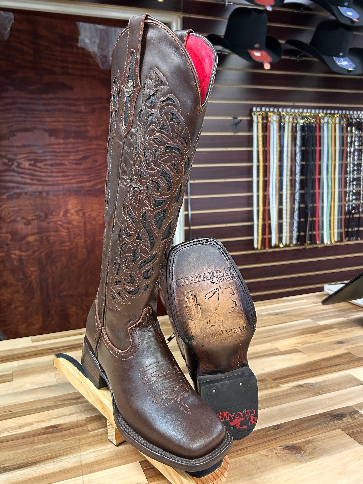 Coqueta Tall Square Toe Boot (Cafe)
