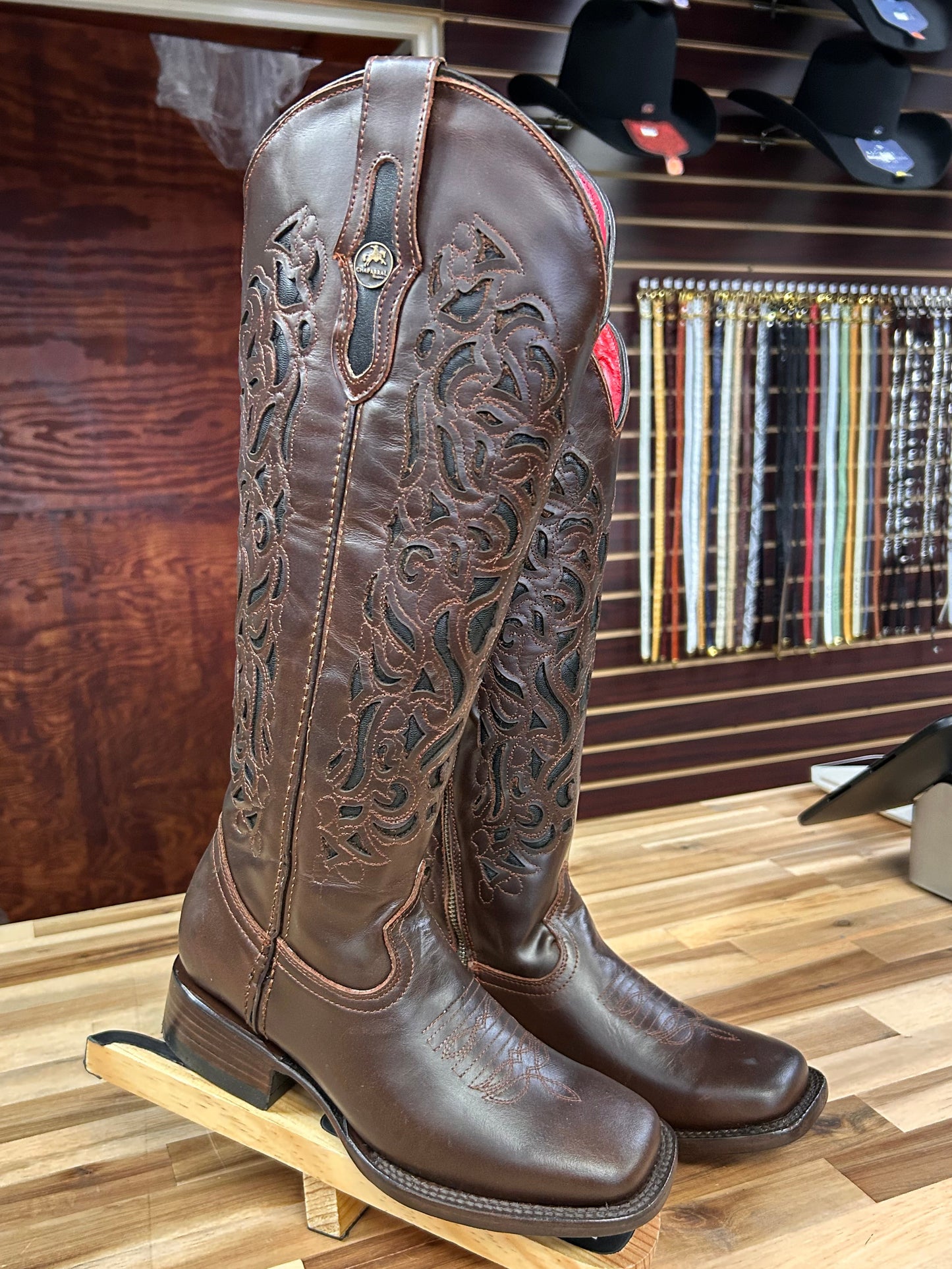 Coqueta Tall Square Toe Boot (Cafe)