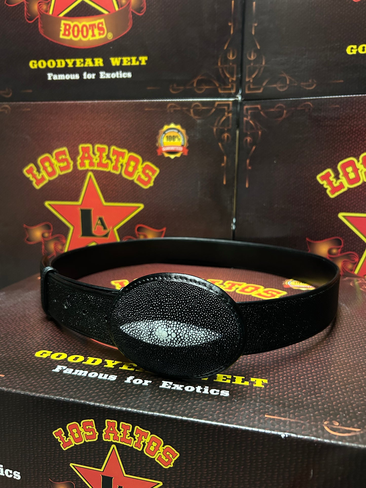 Stingray Single Stone Black Belt