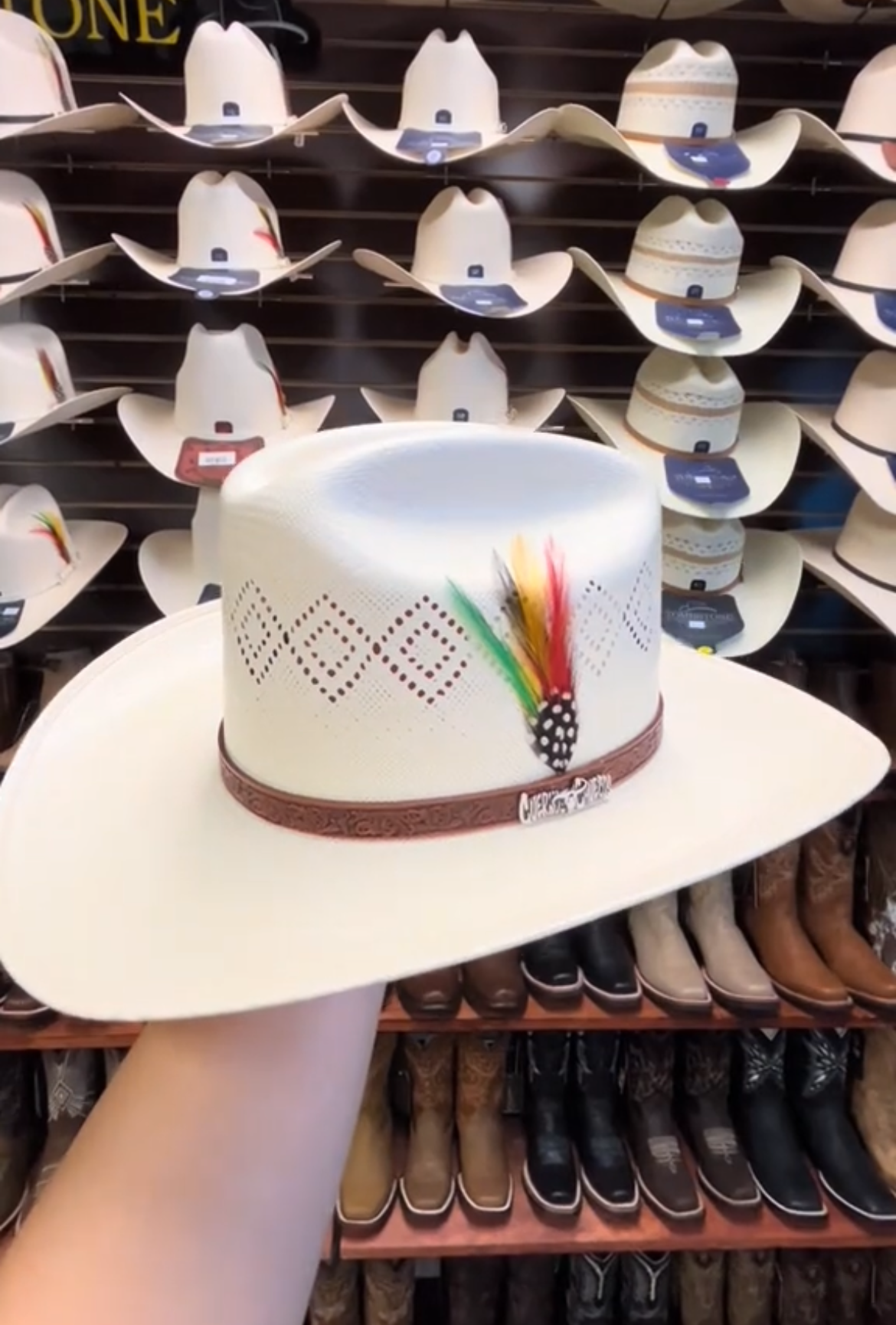 Sombrero Cuernos Chuecos 100X Johnson Diamond