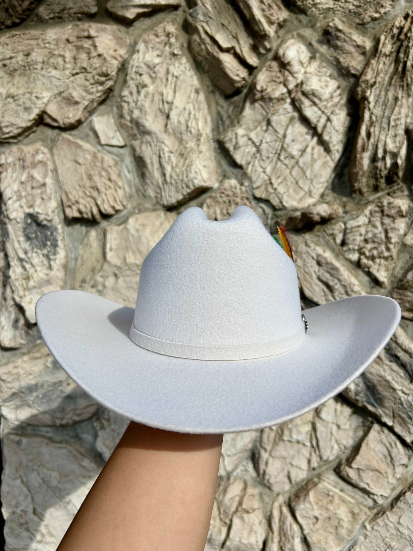 Texana Cuernos Chuecos 6X Estilo Sinaloa