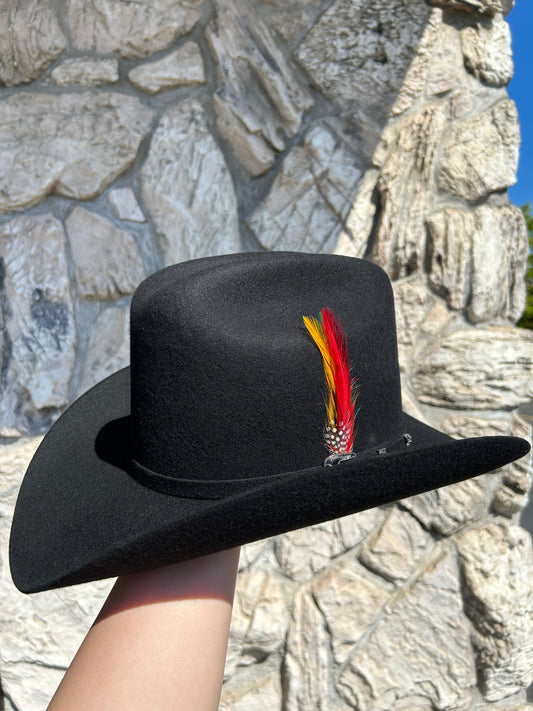 Texana Cuernos Chuecos 6X Horma Durango