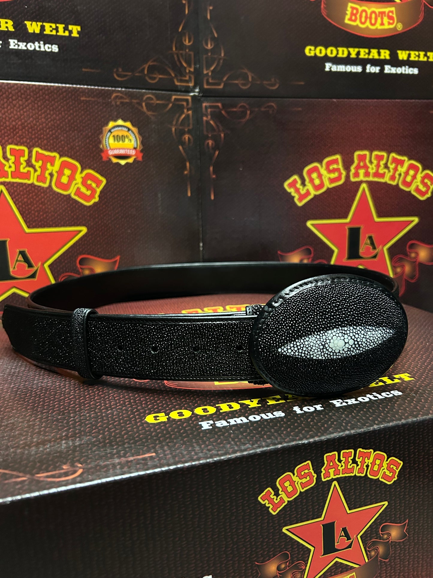 Stingray Single Stone Black Belt